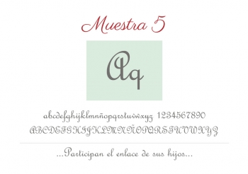 imagen 5